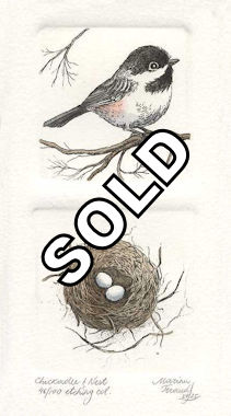 a diptych etchings of a chickadee and a corresponding nest