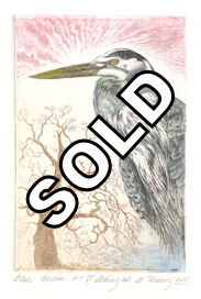 original fine art etching of a blue heron