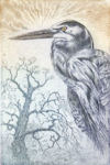 etching of a blue heron