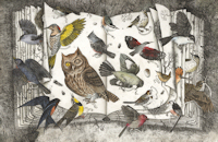 original etching of a book page featuring a number of birds