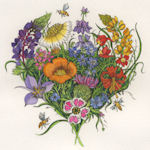 californian wildflowers arranged in the shape of a heart