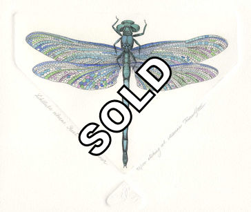 top view of a great blue skimmer dragonfly