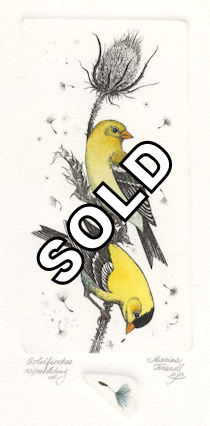 two goldfinches sitting on a seed pod stem