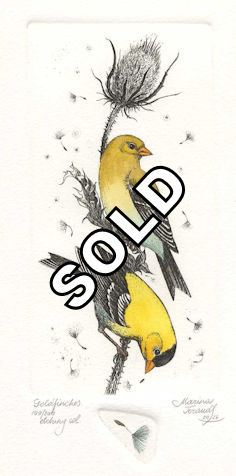 two goldfinches sitting on a seed pod stem