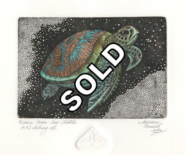 a huno green sea turtle floating in the ocean