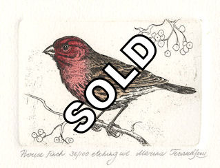 etching of a side profile of a house finch sitting on a twig