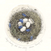 etching of indigo bunting nest