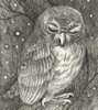 thumbnail of a mottled owl for link to its gallery