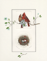 2 plate etching of a cardinal and nest