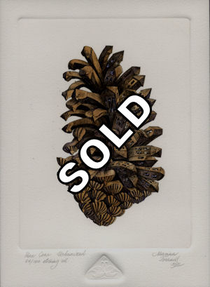 A pine cone that has become urbanized