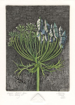 solitary queen anne lace that is half urbanized