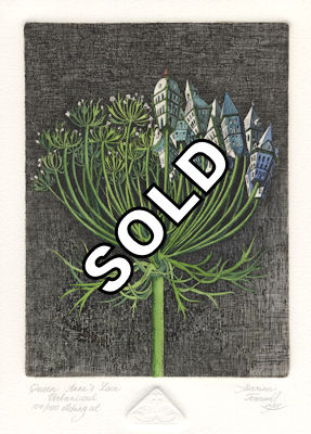 solitary queen anne lace that is half urbanized