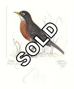 etching of a robin