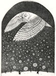 etching of a snowy owl in  winter flight with snow flakes